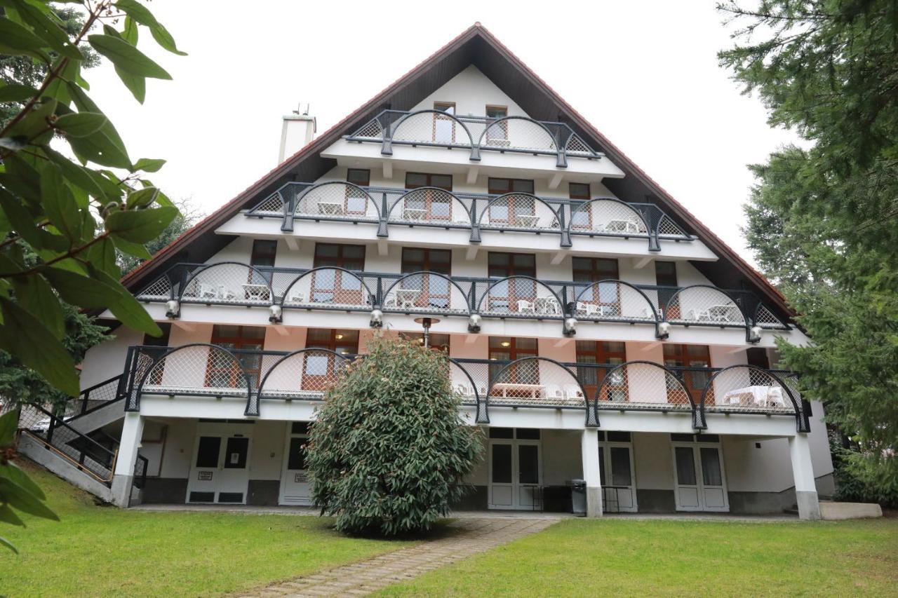 Hotel Geopark Panzió Bukkszentkereszt Exterior foto