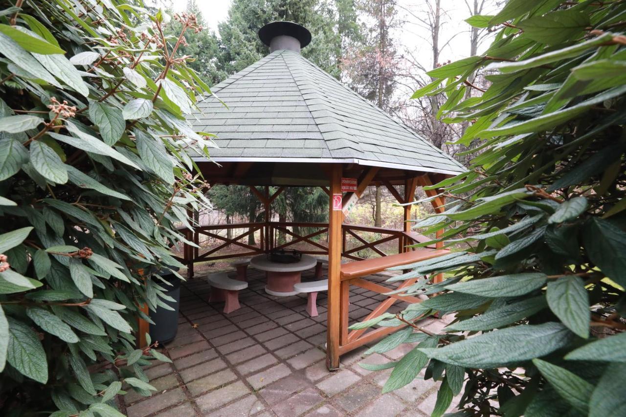 Hotel Geopark Panzió Bukkszentkereszt Exterior foto